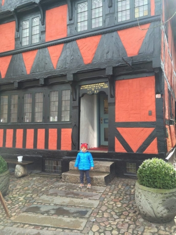 Old Cityhouse - Helligkorsgade 18 Kolding Denmark