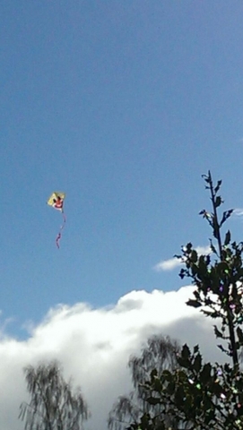 Genug Wind gab es um Drachen fliegen zu lassen