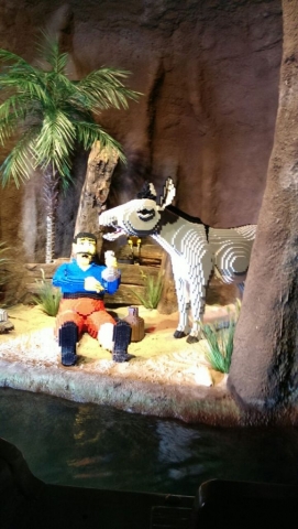 Tja.. Mexikaner mit Esel