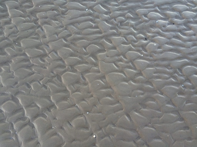 Der Sand sieht auf jedenfall sehr sauber aus..