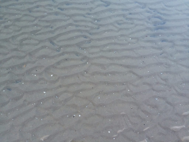 bis auf ein paar Steine und Muscheln