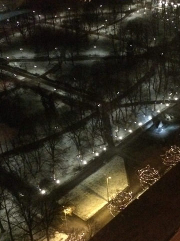 Blick nach unten in den Stadtpark