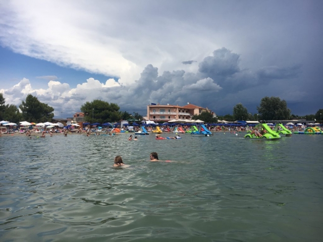 Zwischen den ganzen Schwimmern