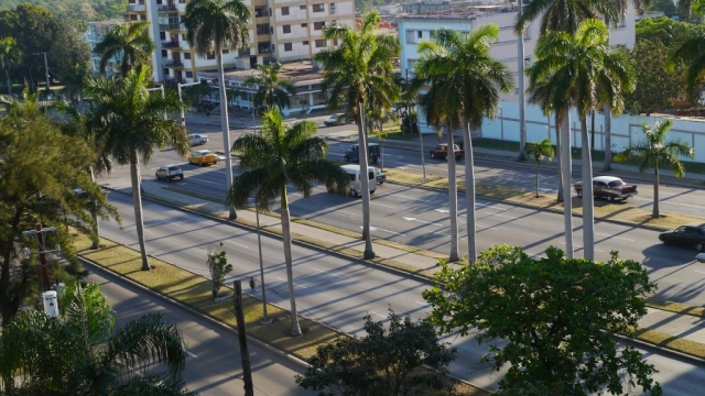 Einfach an die Straße stellen und ein Auto in diese Richtung anhalten