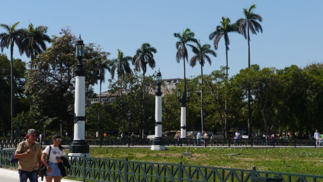 Palmen und Park links vom Capitolio