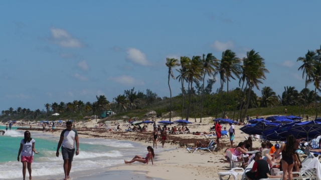 Palmen und Menschen am Strand – Santa María del Mar, Playas de Este